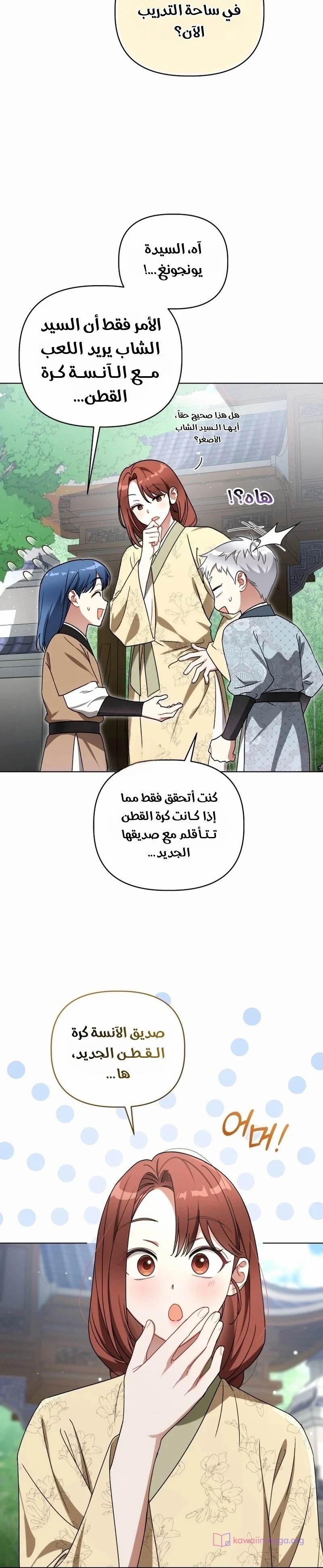 الصفحة 21