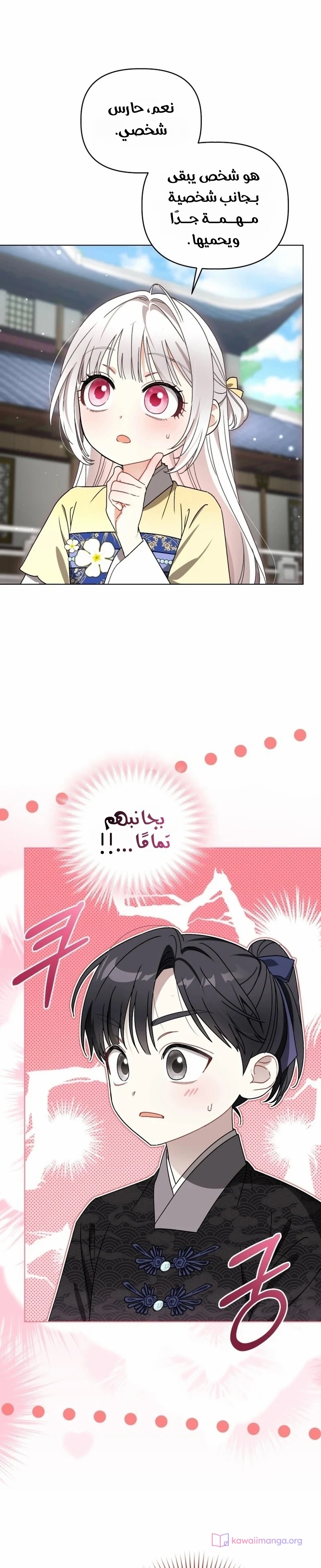 الصفحة 24
