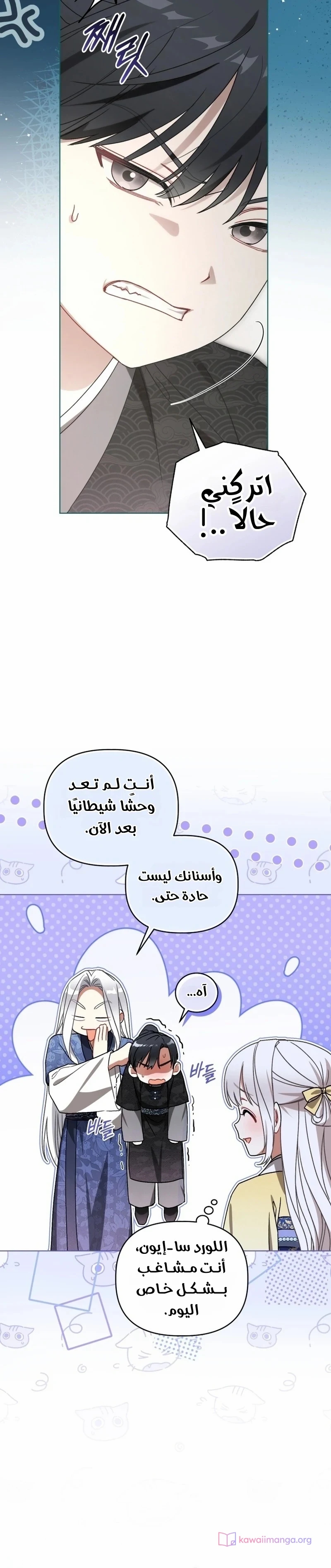 الصفحة 29