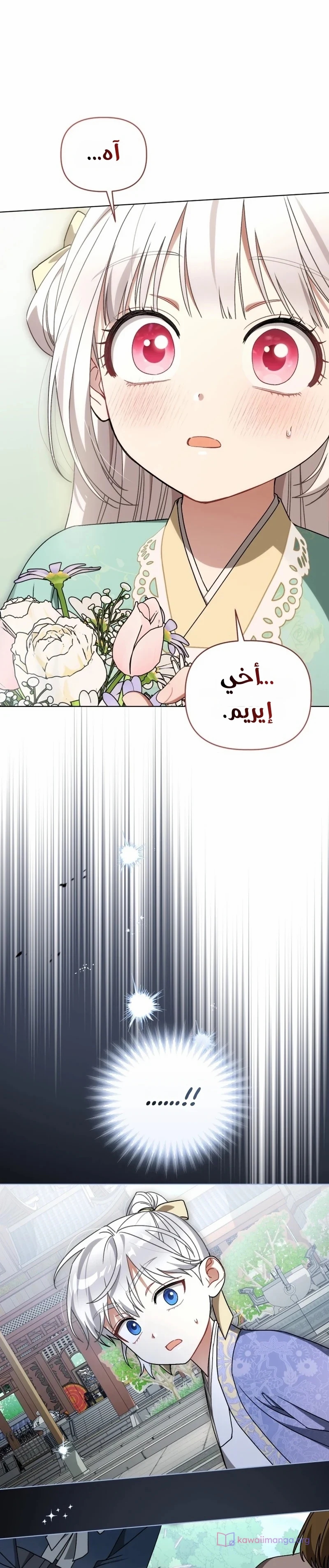 الصفحة 17