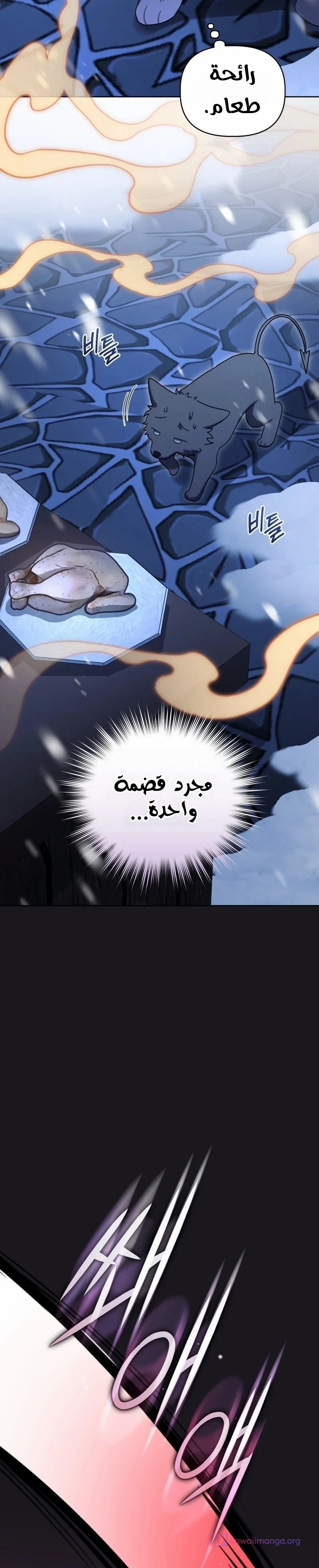 الصفحة 17