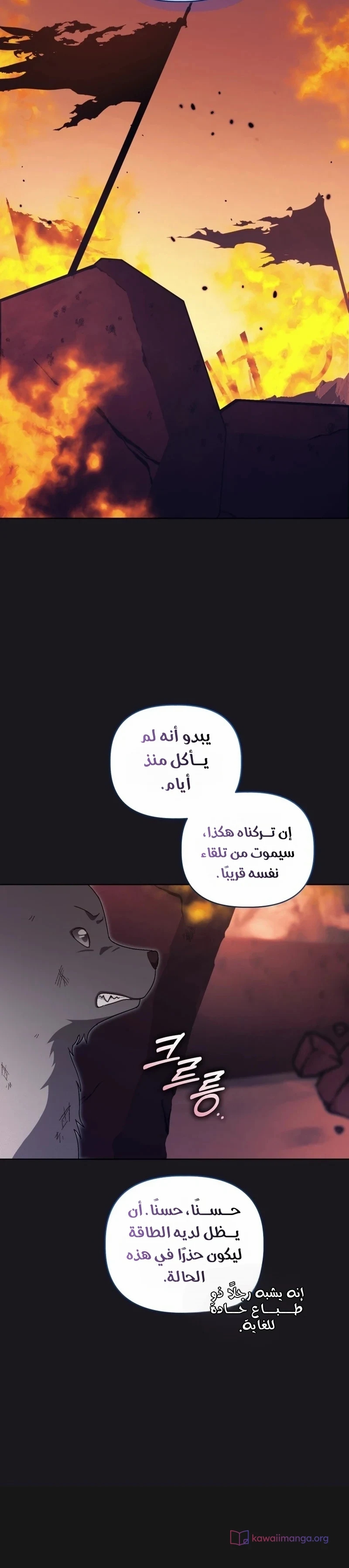 الصفحة 21