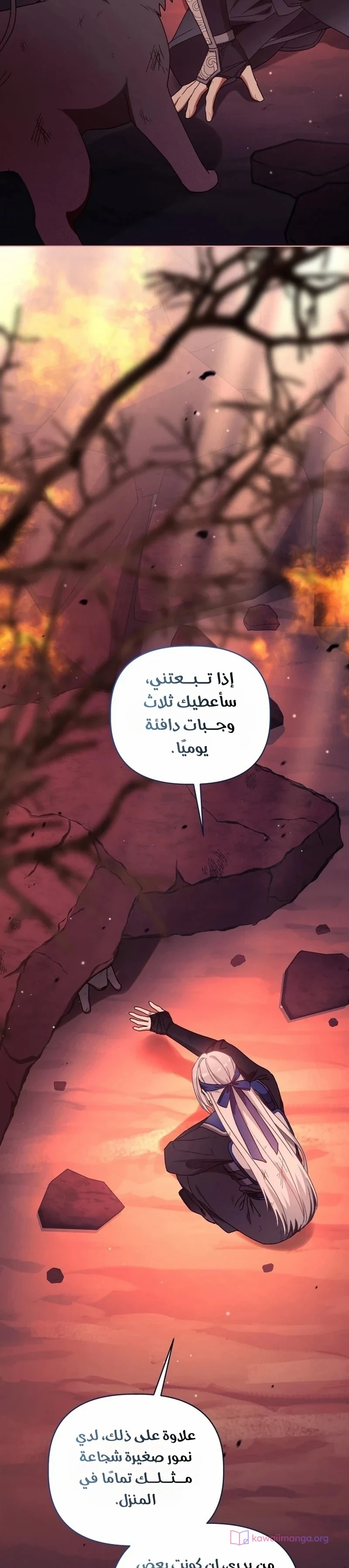 الصفحة 23