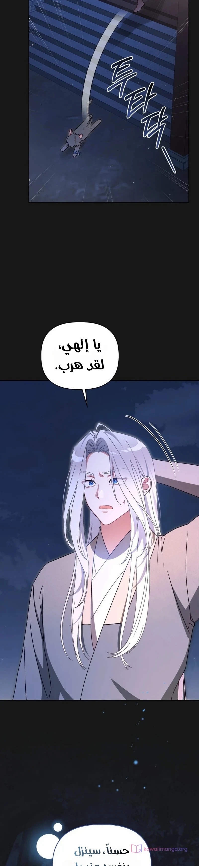 الصفحة 29