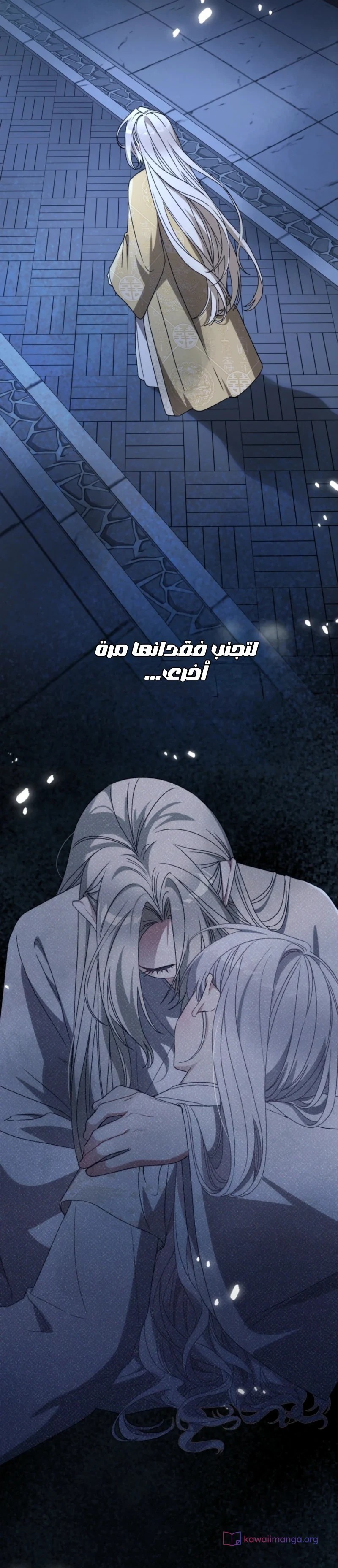 الصفحة 24