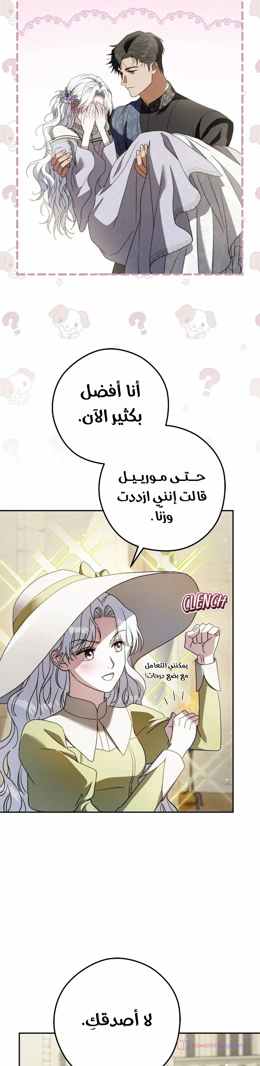 الصفحة 16