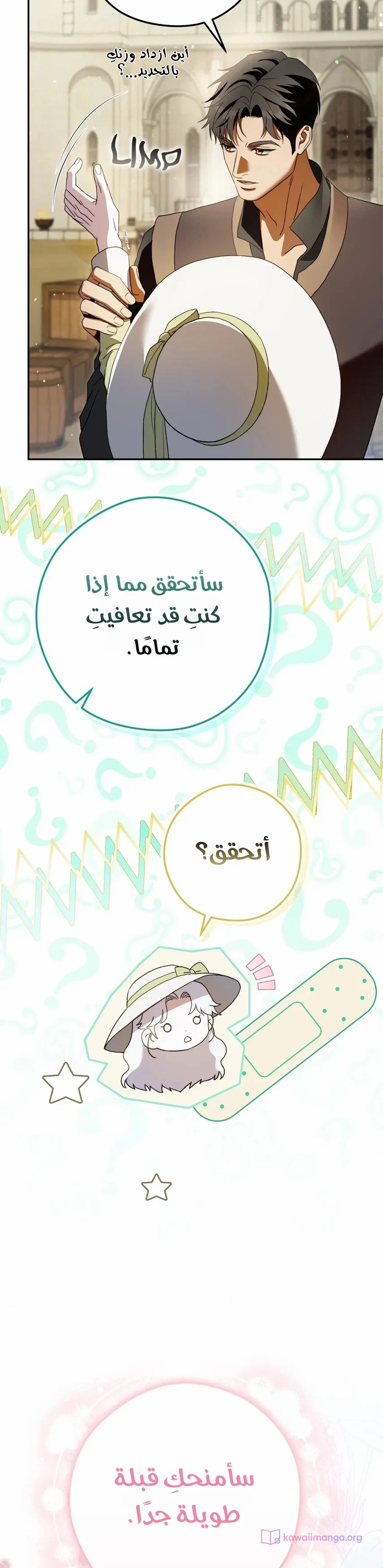 الصفحة 17