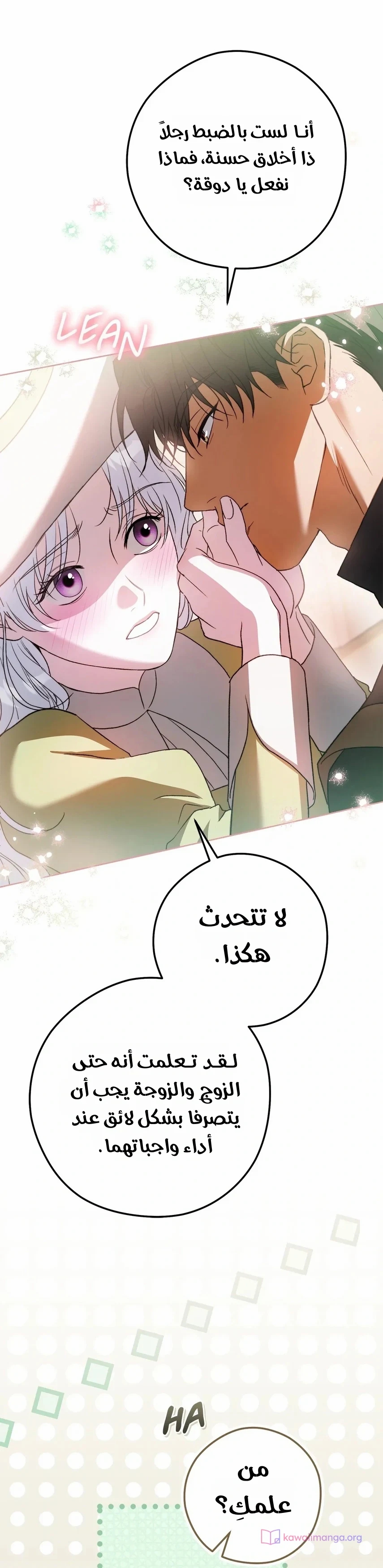 الصفحة 20