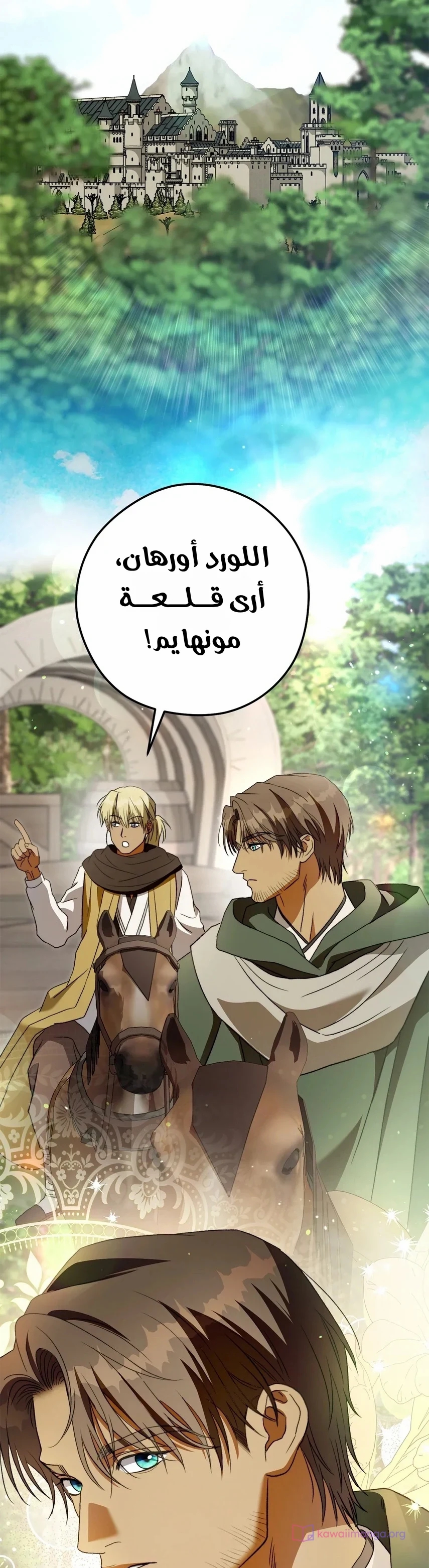 الصفحة 24