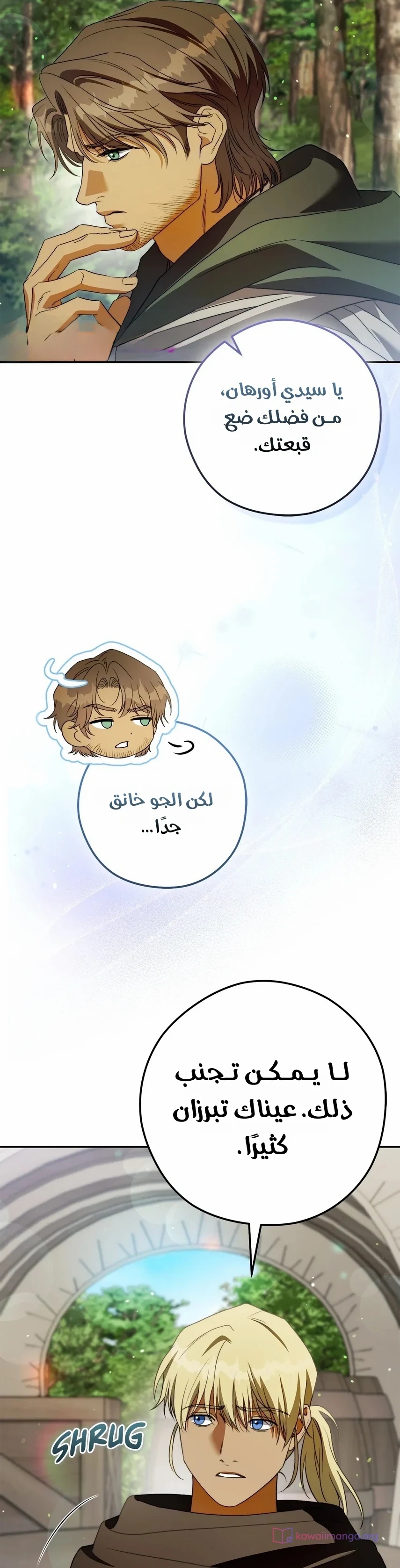 الصفحة 30