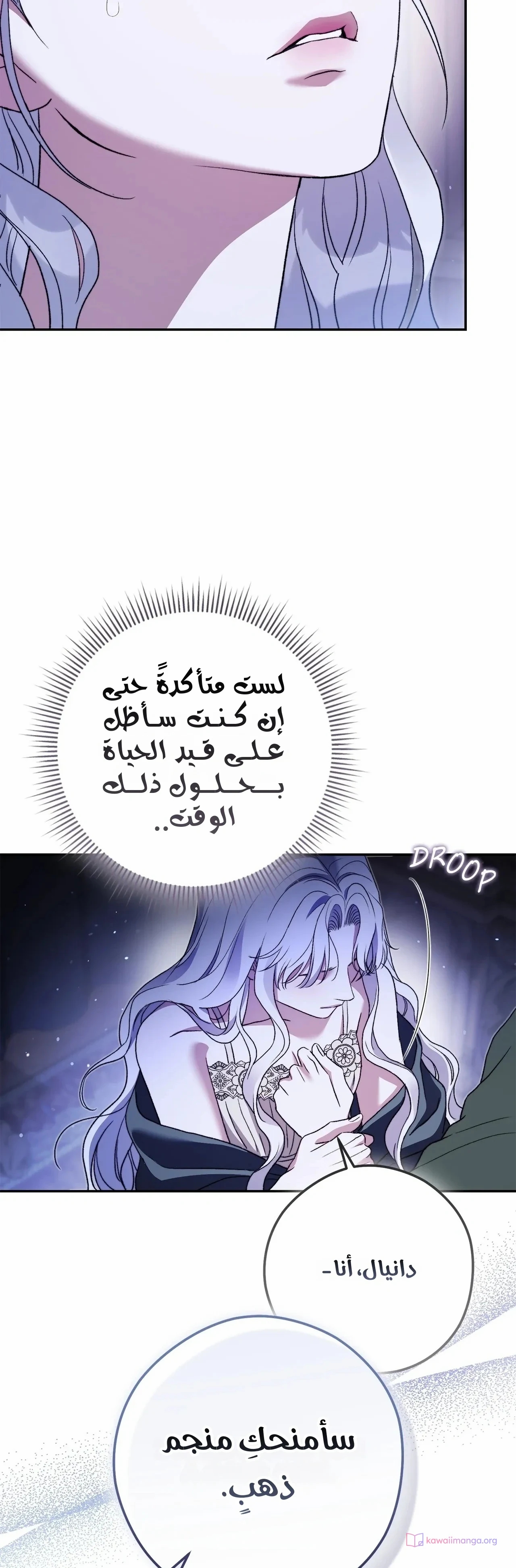 الصفحة 14