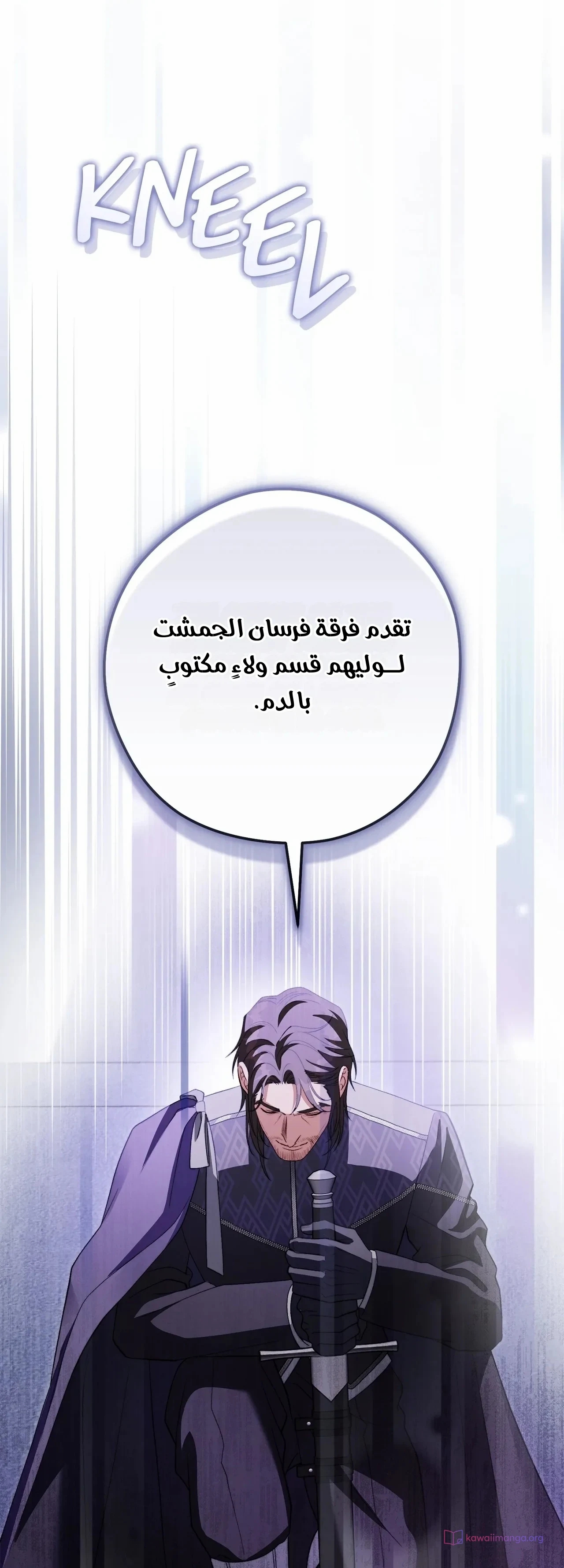 الصفحة 43
