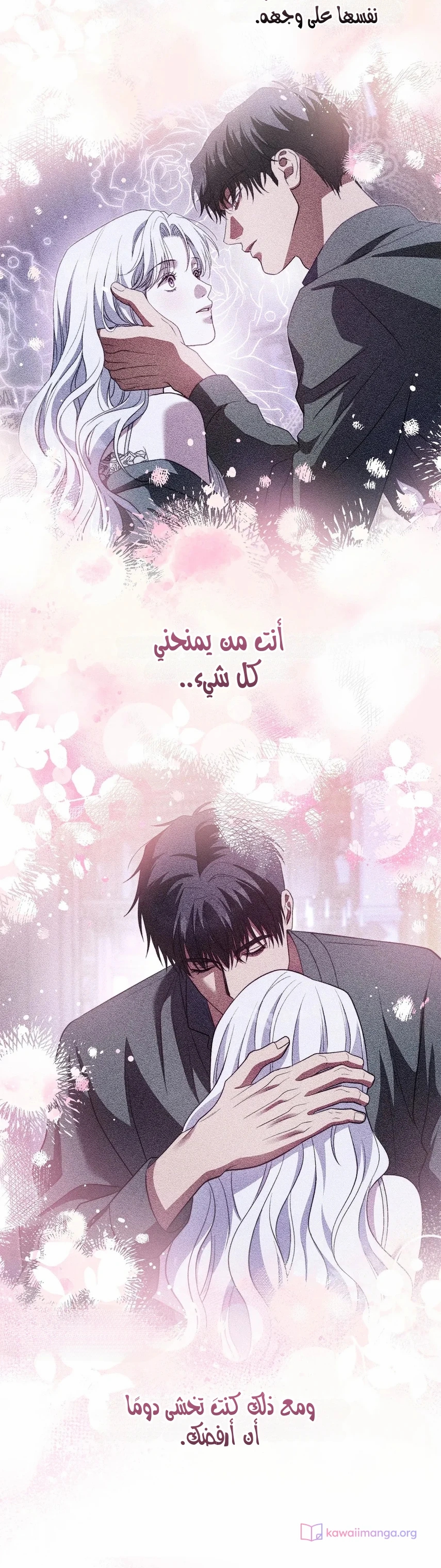 الصفحة 19