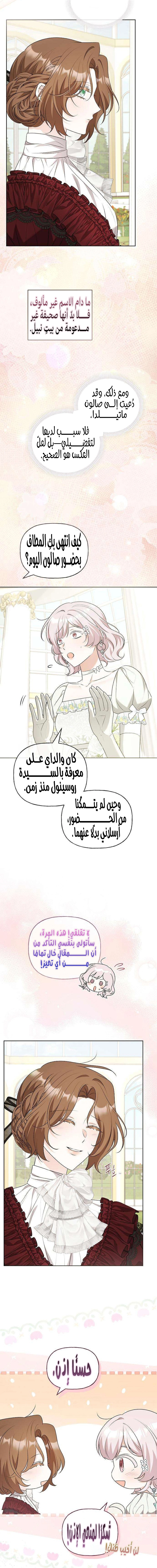 الصفحة 17