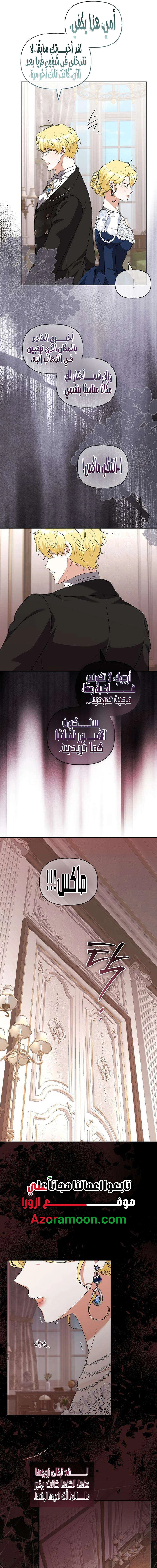 الصفحة 25