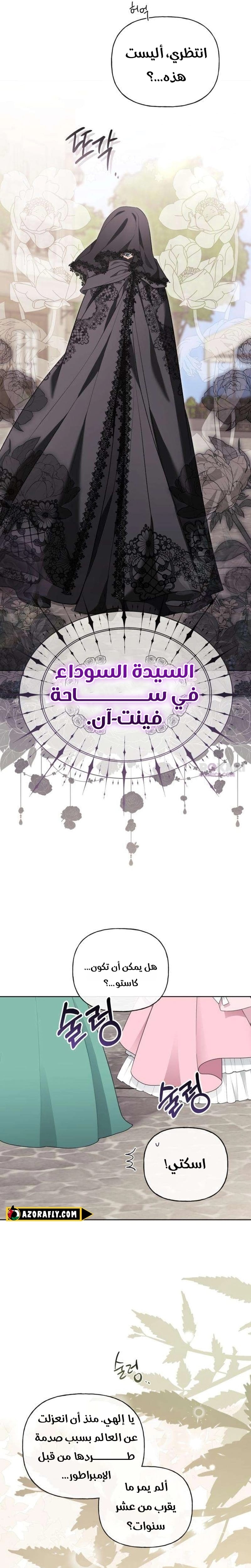 الصفحة 13