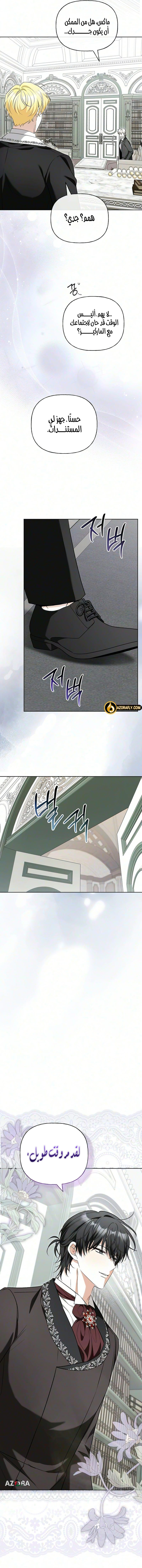 الصفحة 13