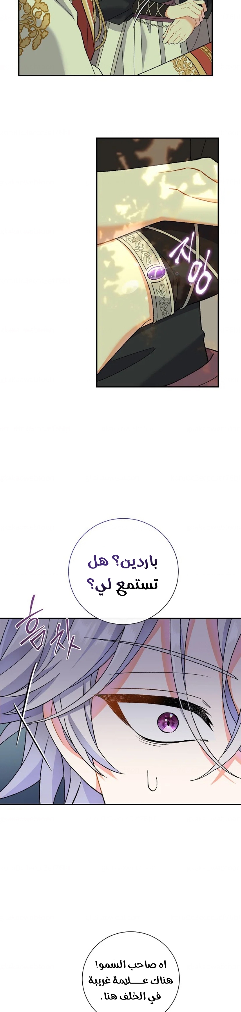 الصفحة 13