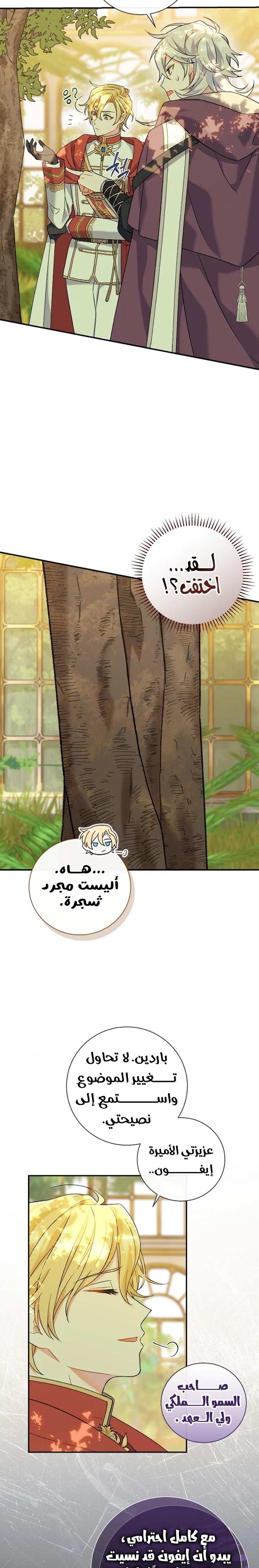 الصفحة 14