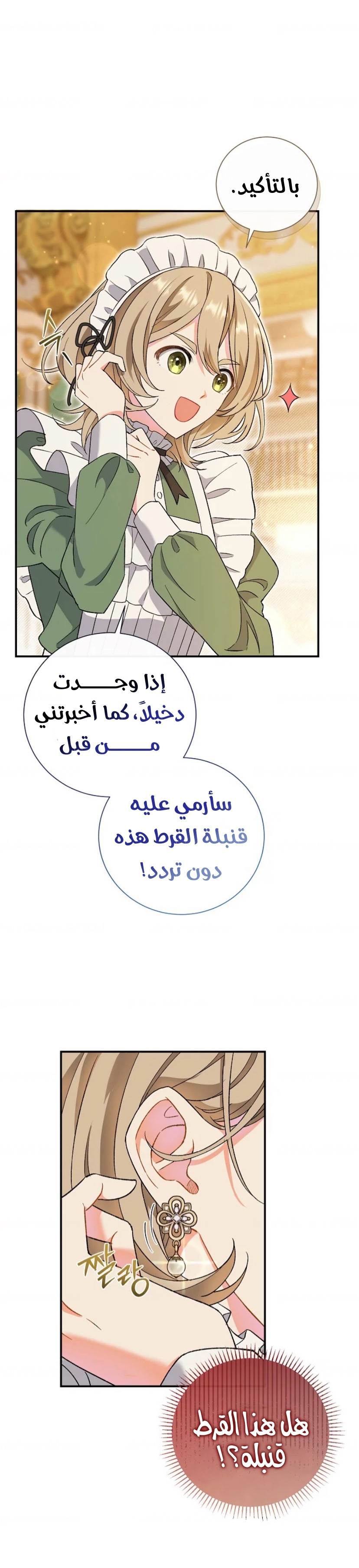 الصفحة 25
