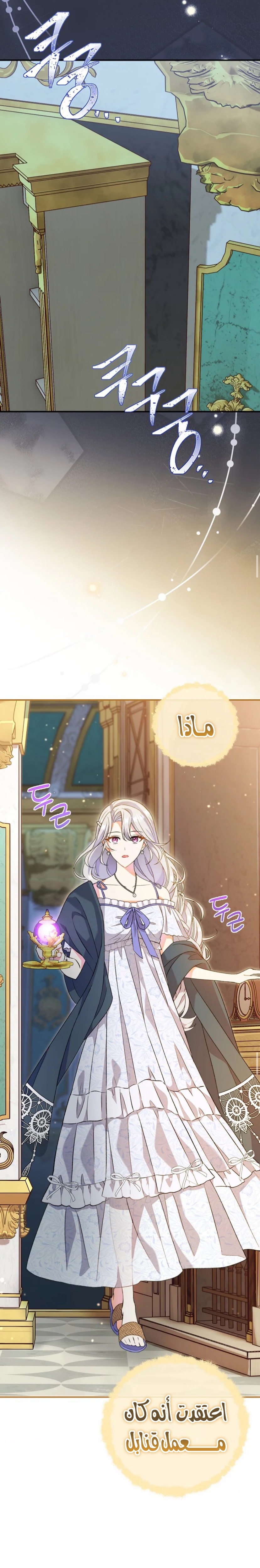 الصفحة 27