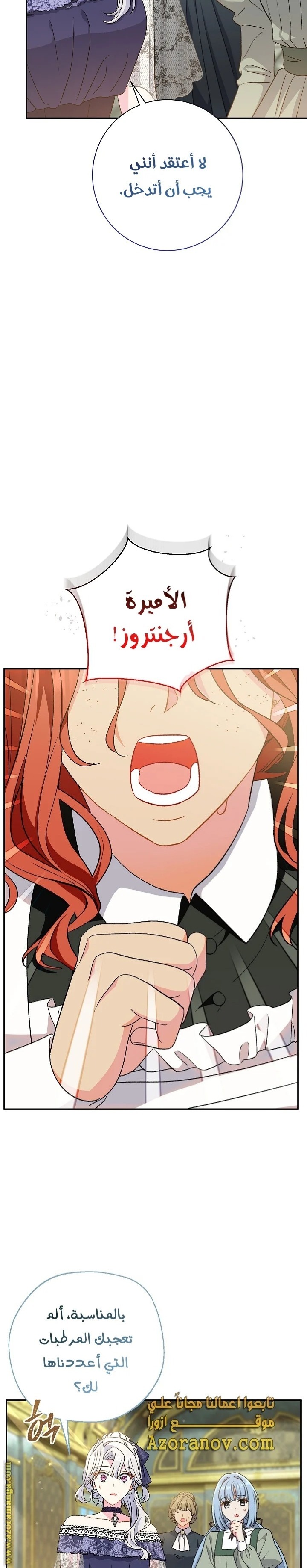 الصفحة 25