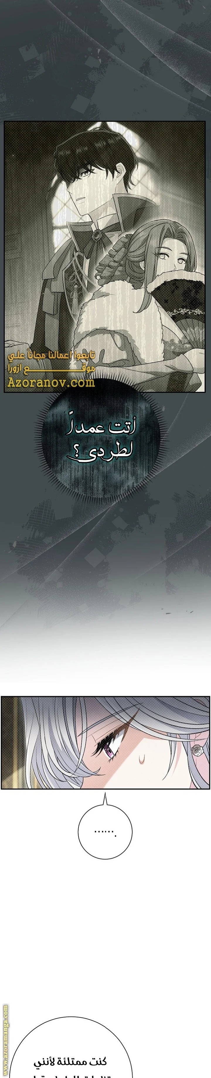 الصفحة 29