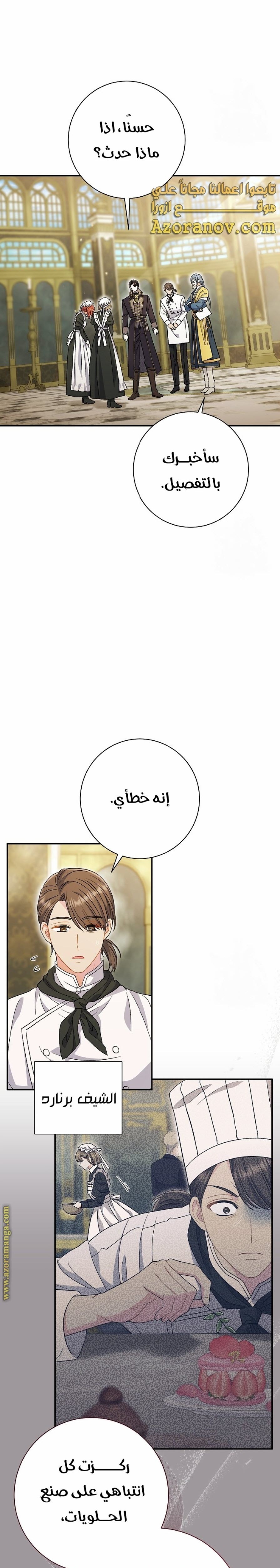 الصفحة 13