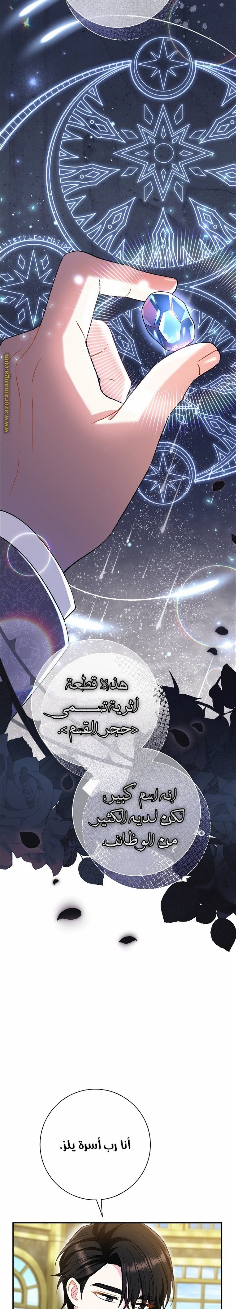 الصفحة 19