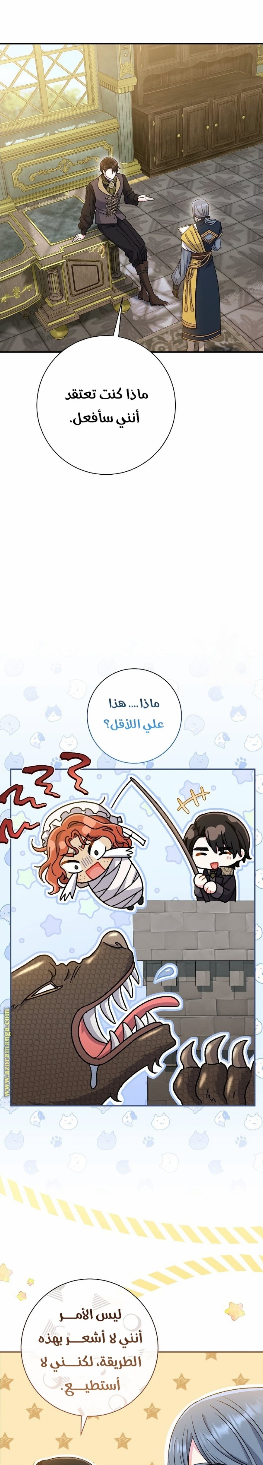 الصفحة 25