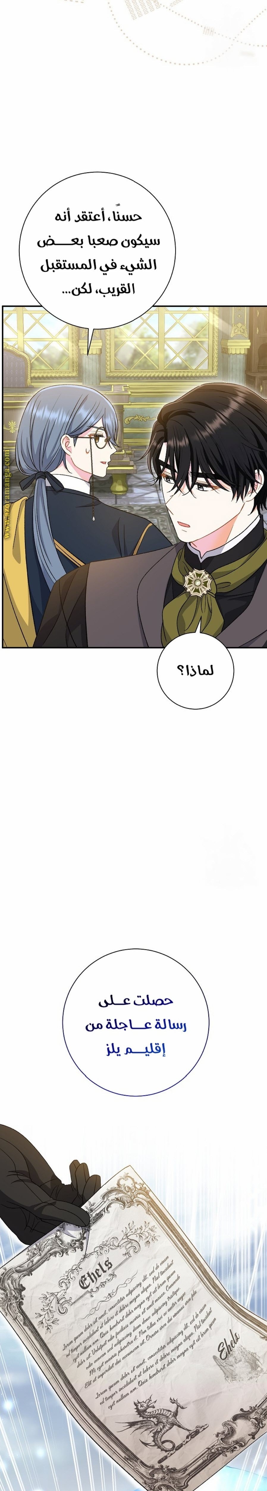 الصفحة 29
