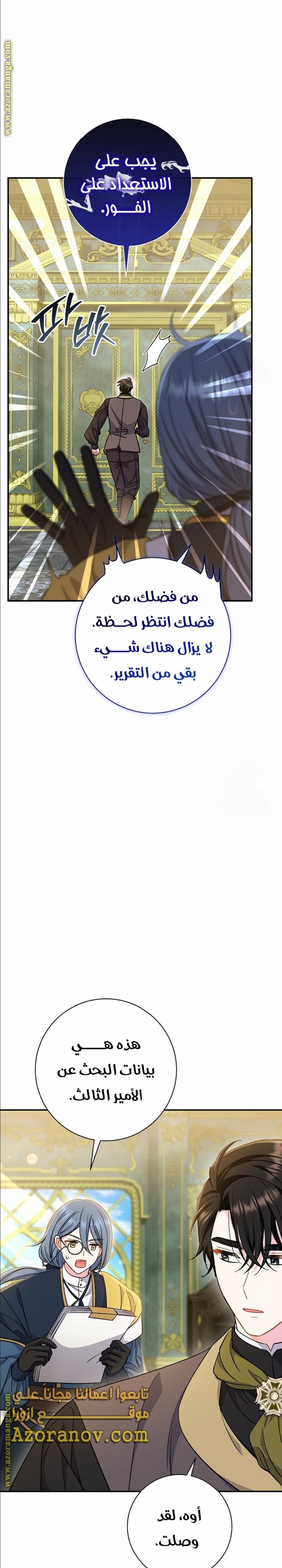 الصفحة 31