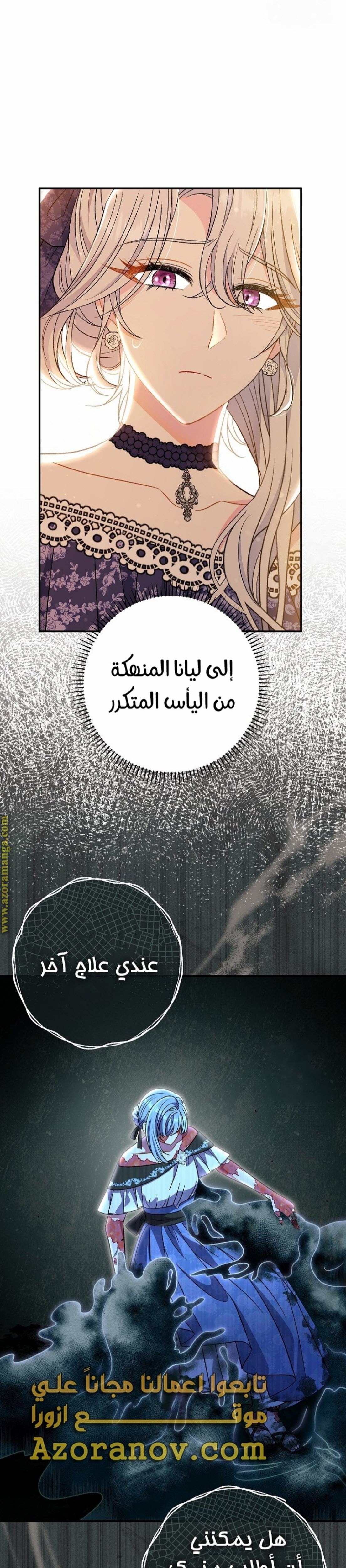الصفحة 13
