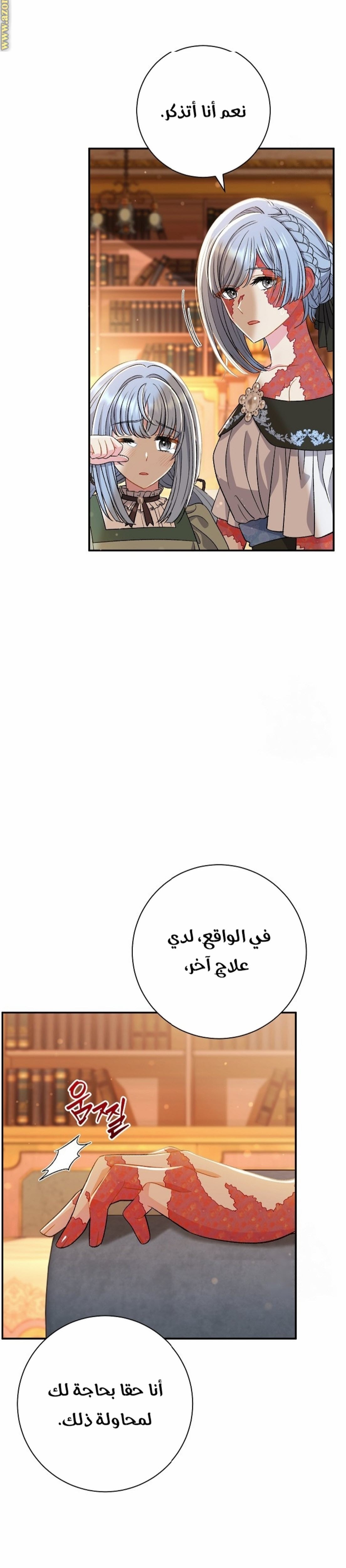 الصفحة 17