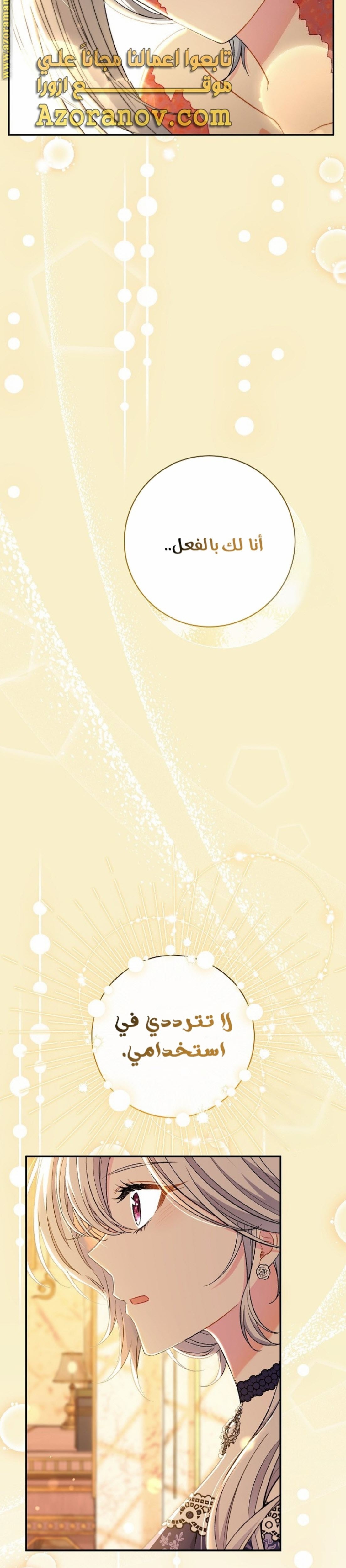 الصفحة 25