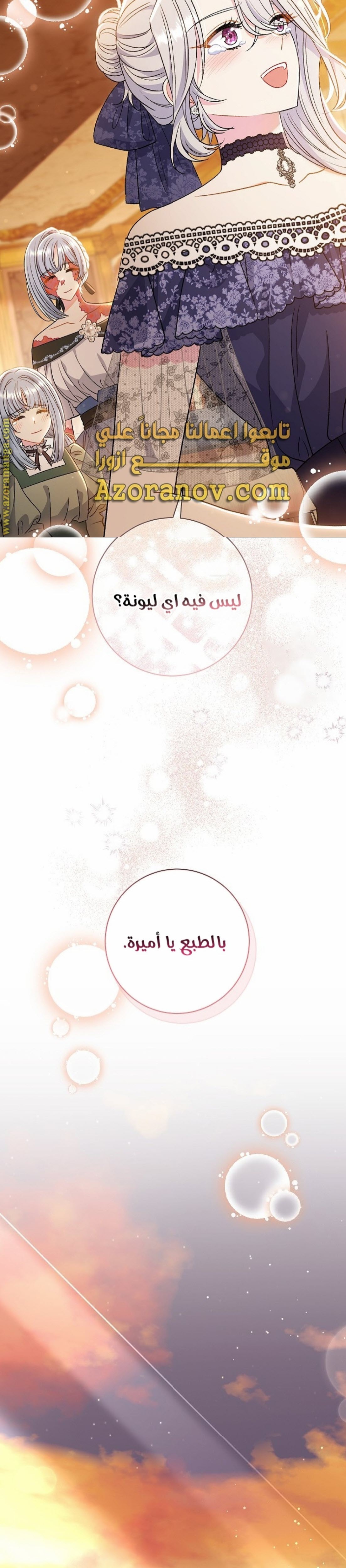 الصفحة 27