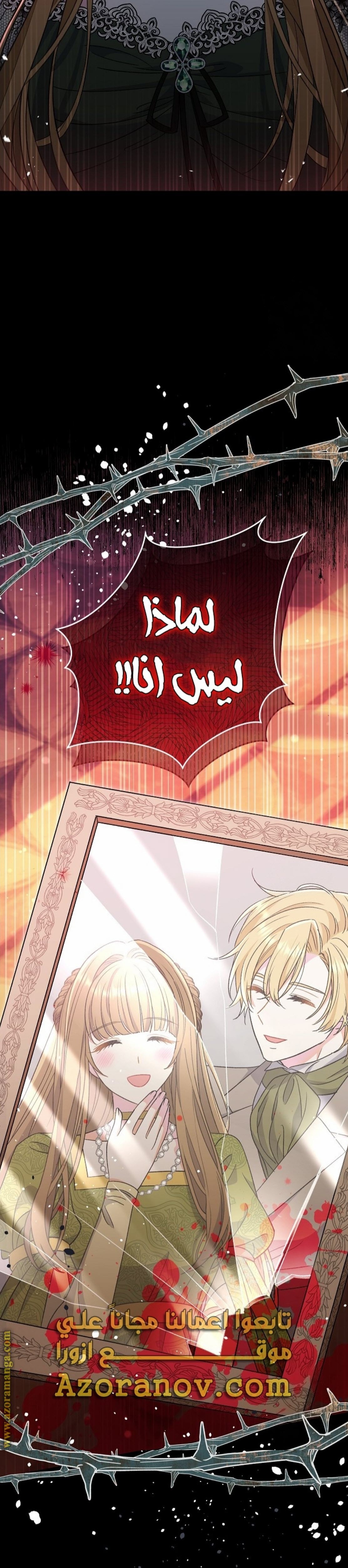 الصفحة 31