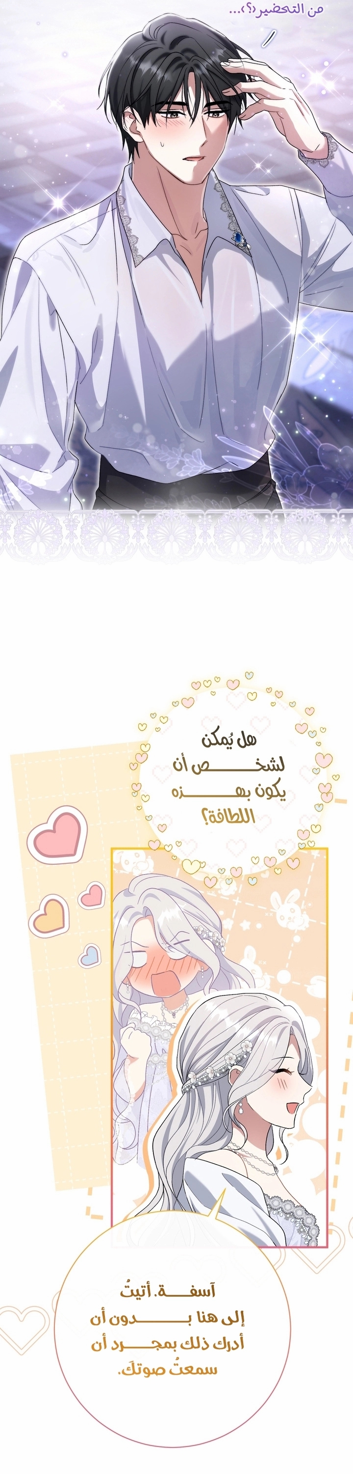 الصفحة 29