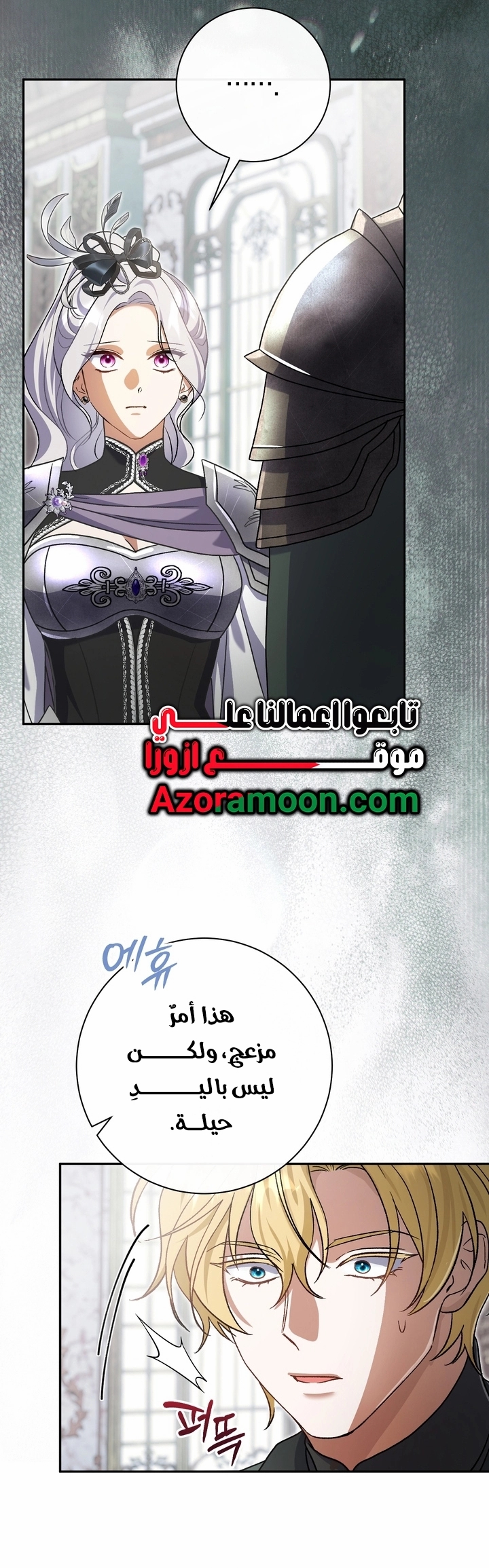 الصفحة 17