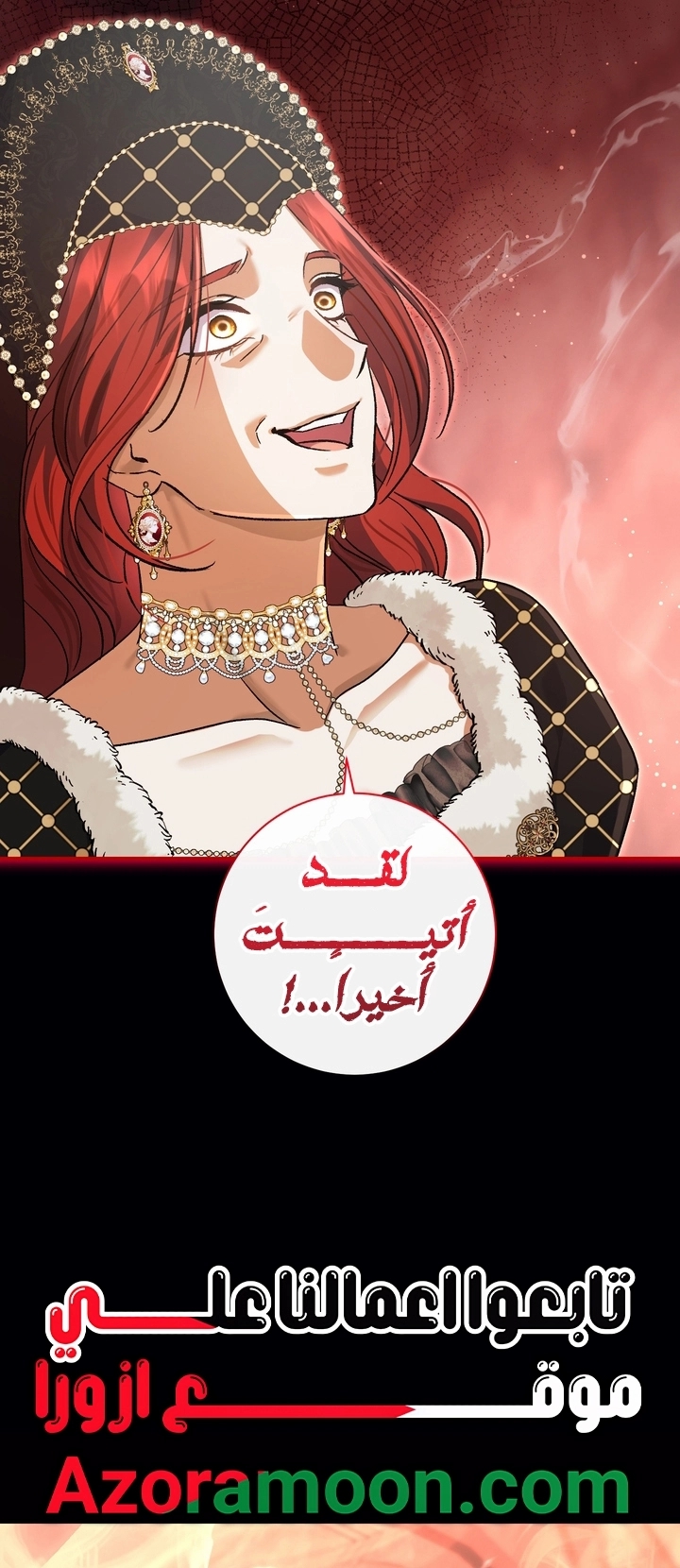 الصفحة 13