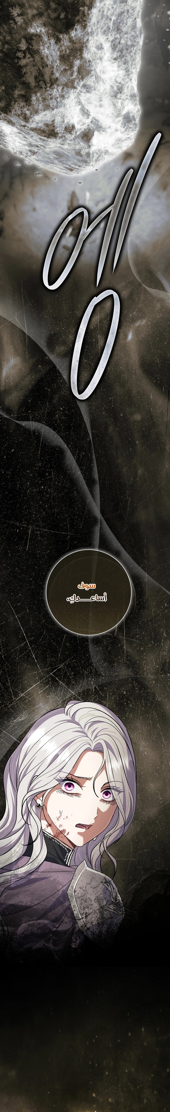 الصفحة 29