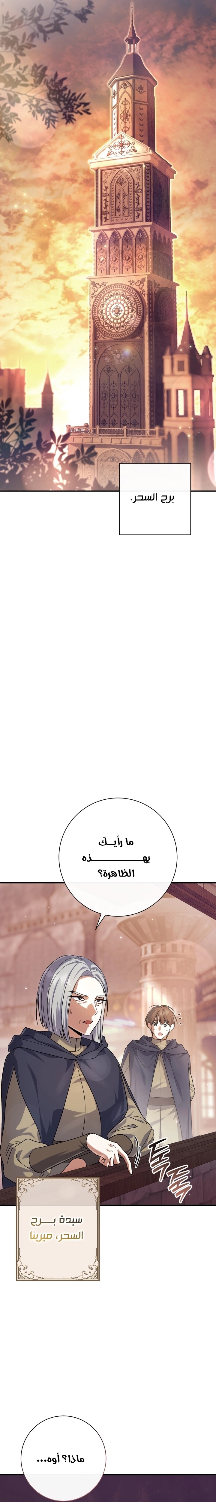 الصفحة 31