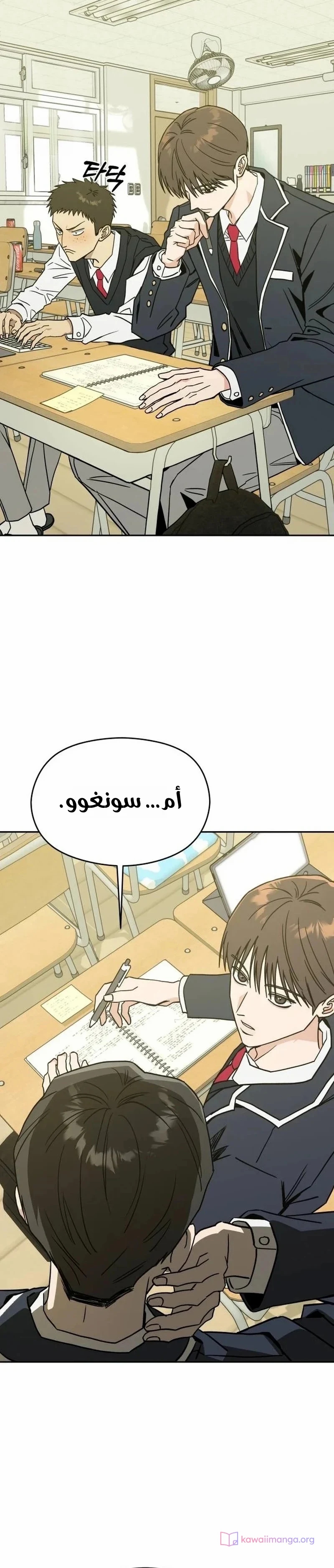 الصفحة 13