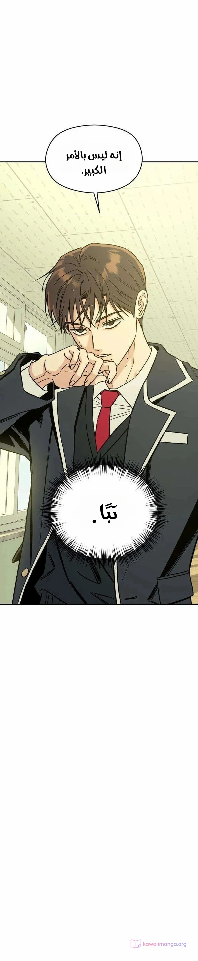 الصفحة 19
