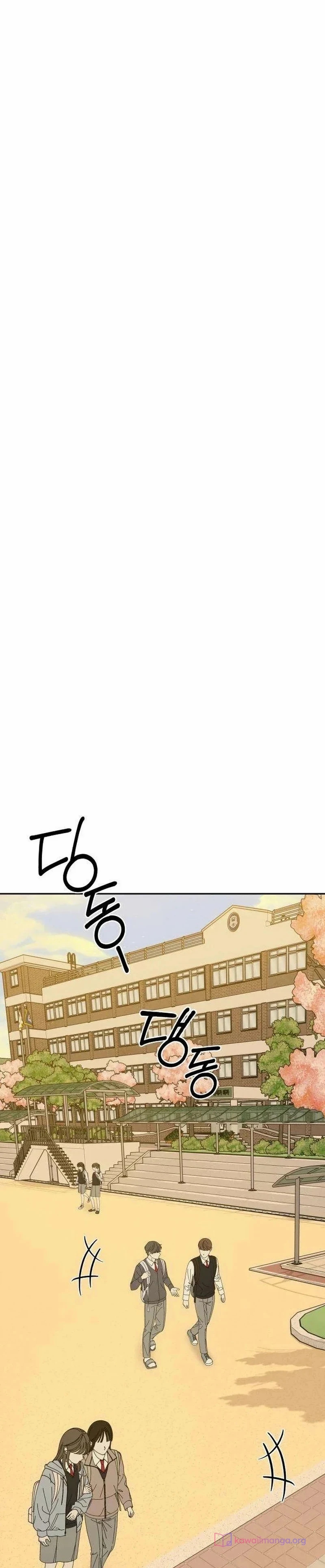 الصفحة 44