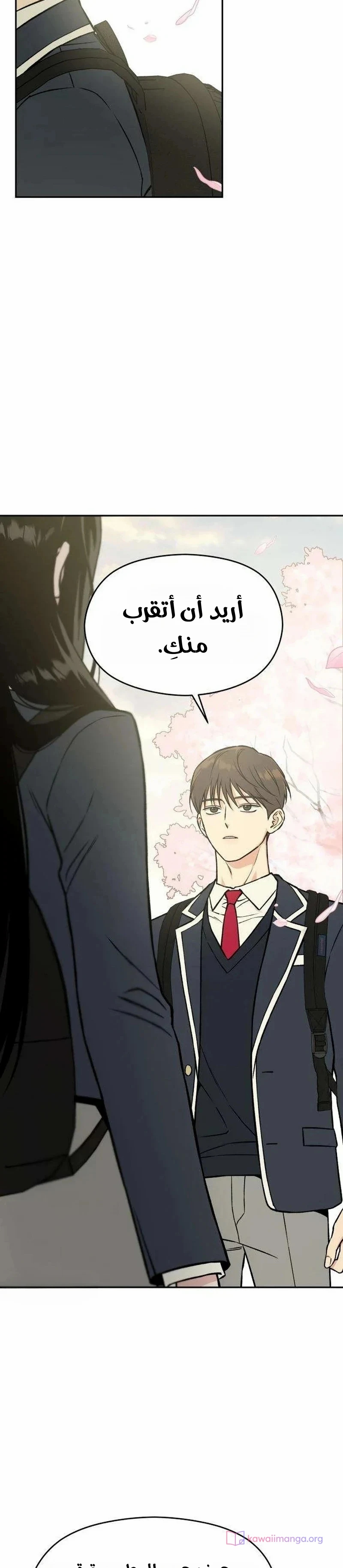 الصفحة 17