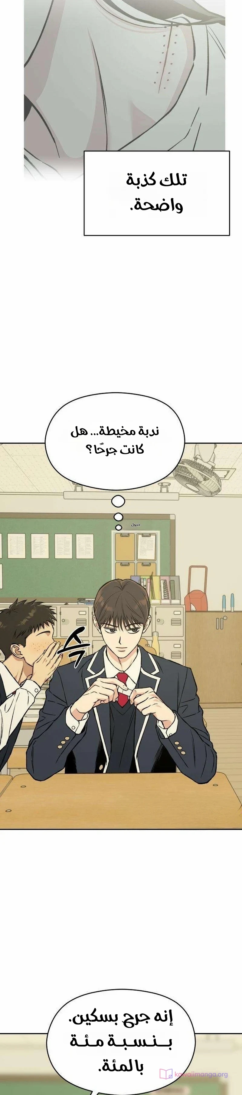 الصفحة 13