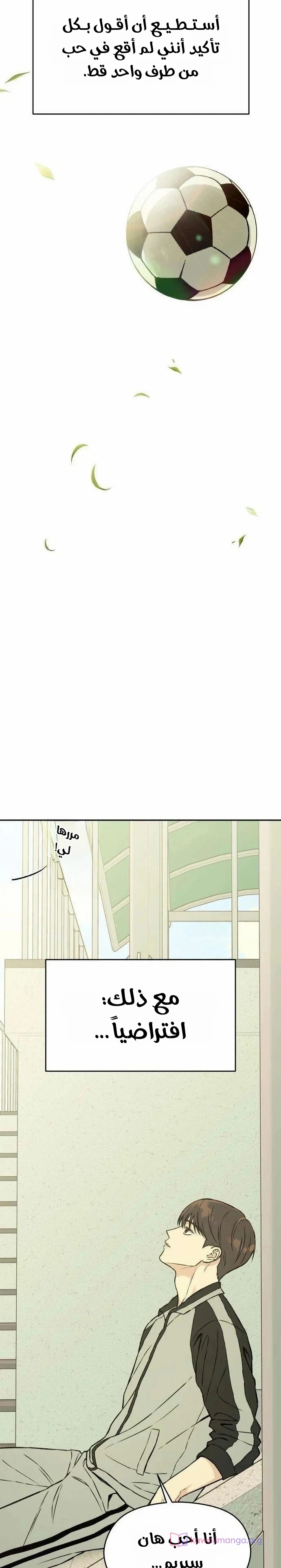 الصفحة 13