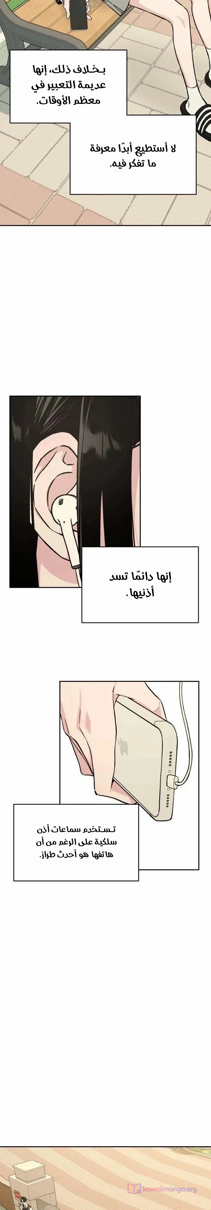 الصفحة 29