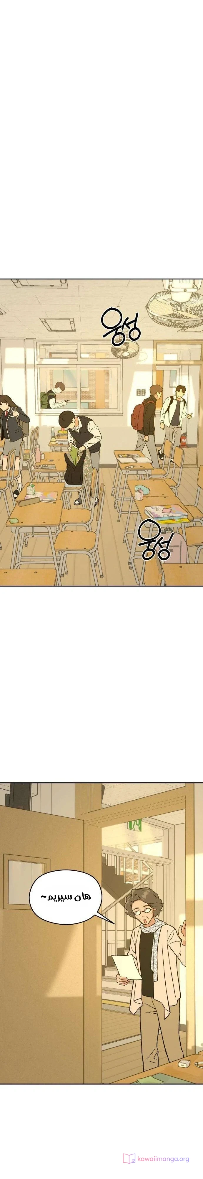 الصفحة 29